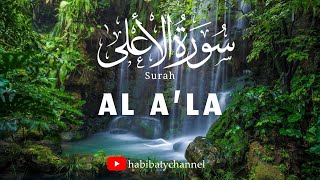 Surah Al Ala yang Paling Tinggi  Mishary Rasyid Alafasy  Habibaty Channel