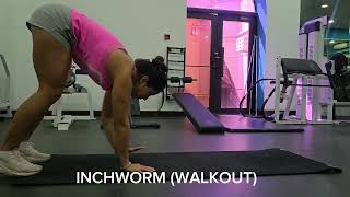Inchworm Exercise (Walkout) | Upper Body Warm-Up