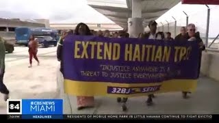 Haitians in South Florida are living in fear among TPS uncertainty