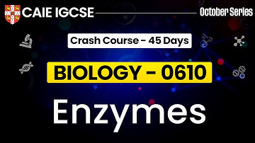 IGCSE Biology 0610 : Enzymes IGCSE Biology | Cambridge IGCSE Biology | IGCSE Biology