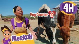 Meekah’s Hug Challenge: 10 Animals in One Day! | 4 HR OF MEEKAH! | Educational Videos for Kids