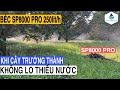 Để sầu riêng trưởng thành không thiếu nước, nên chọn mô hình tưới và béc tưới gì