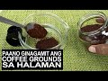 Paano Ginagamit Ang Coffee Grounds Sa Halaman