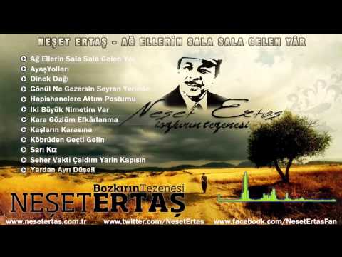 Neşet Ertaş - Yardan Ayrı Düşeli