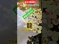 아무리가물어도마르지않는샘#청낭