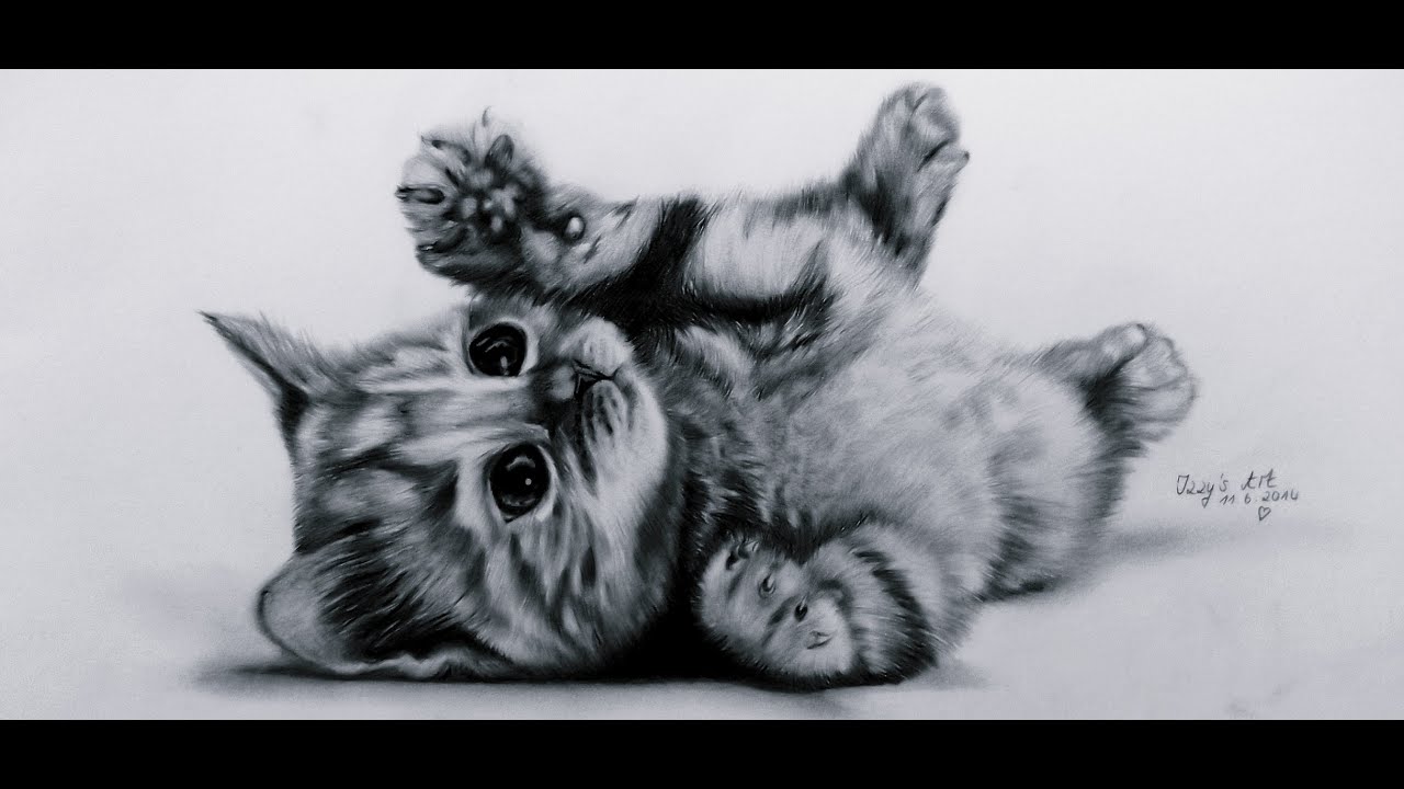 Lets Draw: Cute Kitten (Baby-cat) ♥ - YouTube