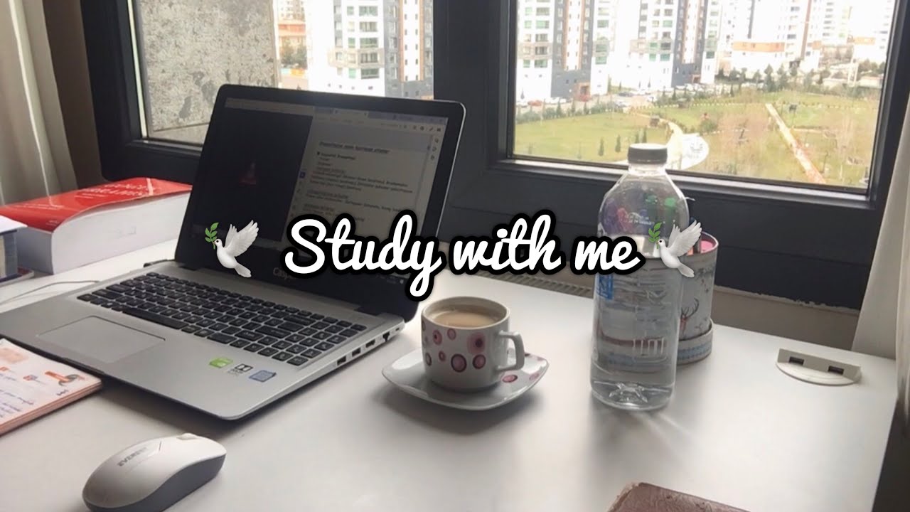 study-with-a-med-student-2-hours-background-noice-pomodoro-50-10