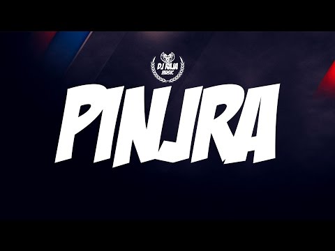 DJ Raja - Pinjra