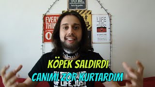 KÖPEK SALDIRISINA UĞRADIM ! (En Komik Videolar)