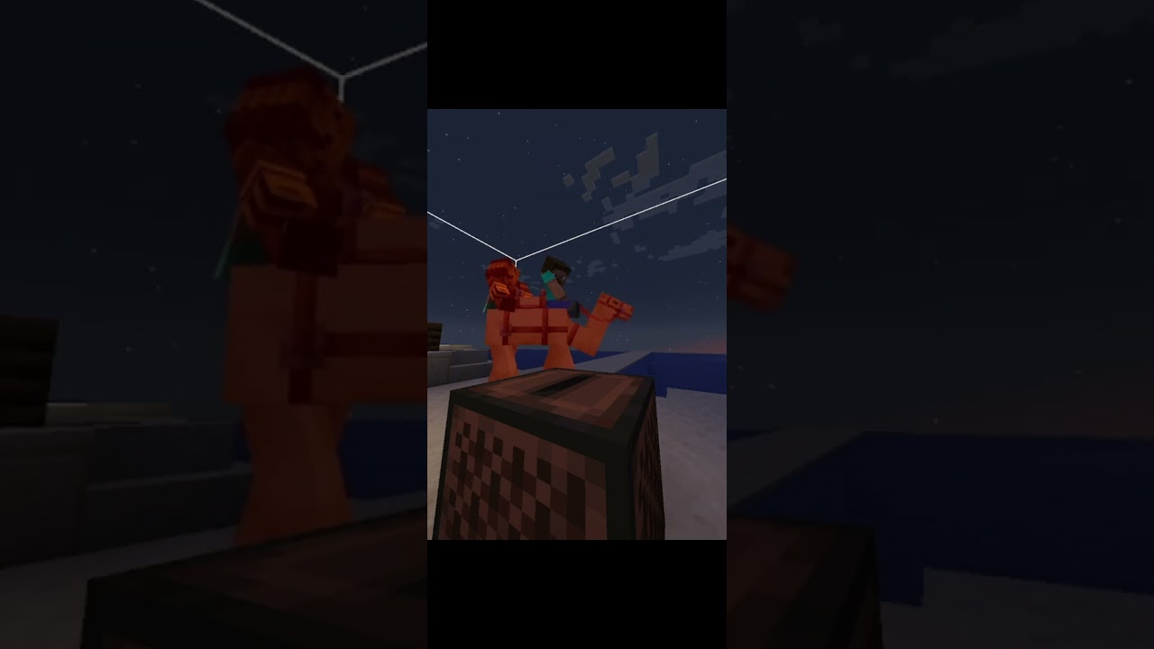 Рейзи в первый раз каталась на верблюде 