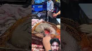 Amazing Big Shilvar Fish Cutting Skills In Gazipur Market Delhi #shortvideo #fish #rrrm