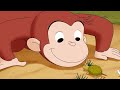 Curious George - Curious George's Egg Hunt | Cartoons For Kids | WildBrain Cartoons