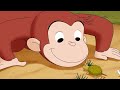 Curious George - Curious George