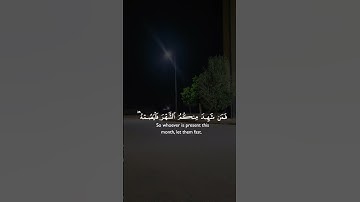 تلاوة تريح القلب #قران #اكسبلور #ترند #tiktok #trending