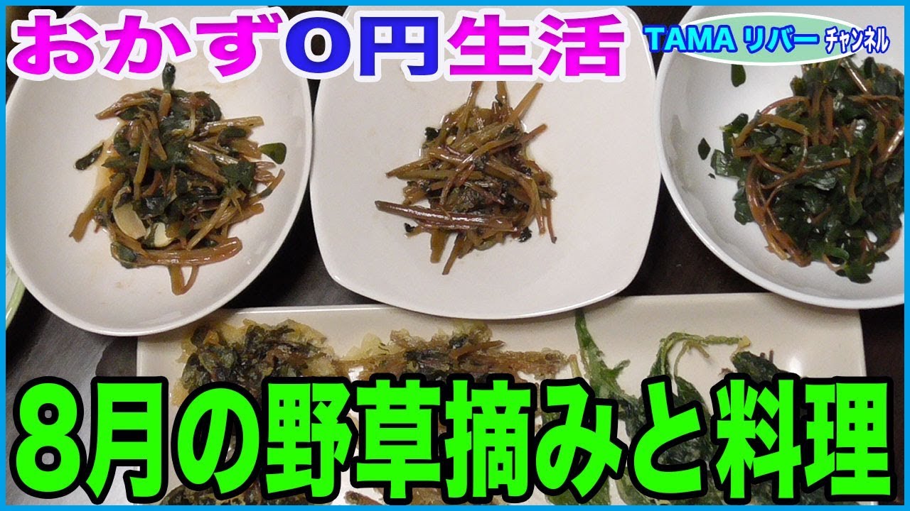 お知らせ♪【おかず0円生活】夏の野草ヒユ科の料理（コニシキソウには気をつけろ！）