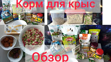Корм для крыс/обзор корма/чем я кормлю крыс/камни/вкусняшки#моилюбимки #ratslove #твимз#крысы