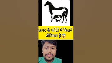 Riddle Illusion #riddlechallenge #shortvideo #riddles