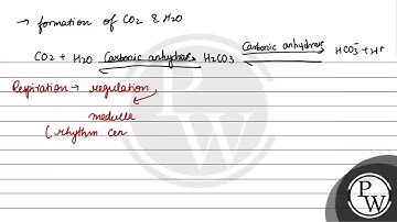 STATEMENT BASED Directions: In the questions, two statements are given as statement-I and statem...