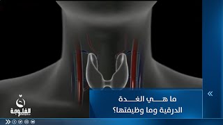 ما هي الغدة الدرقية؟ وما وظيفتها ؟وما المشاكل التي تحدث لاضطرابها؟ | تقرير أمجد الكبيسي