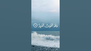 سورة الشورى (١٩)🤍