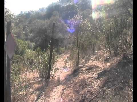 Nelson Labrujó (Viagens na Minha Terra apresent 1).wmv