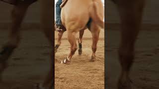 This Horse Is Too Smooth 