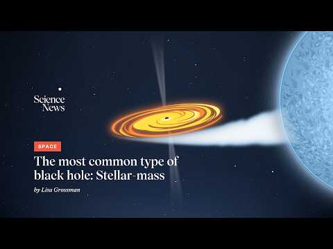 Stellar-mass black holes | Science News