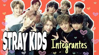 STRAY KIDS integrantes