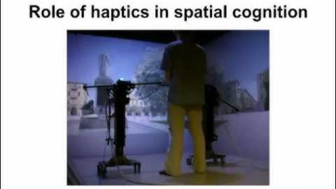 Spatial and Social Cognition