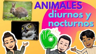 Animales diurnos y nocturnos. - thptnganamst.edu.vn