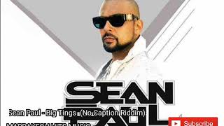 Sean Paul - Big Tings [No Caption Riddim] (MP3_160K) Resimi