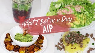 What I Eat in a Day AIP Meal Ideas screenshot 3