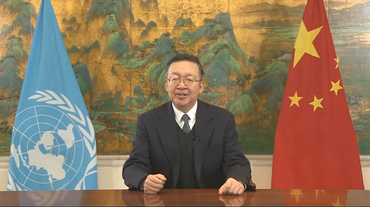 H.E. Tian Xuejun, Vice Minister of Education of the People’s Republic of China - DayDayNews