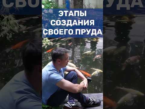 Видео: Уход за рыбами в воде - Общий уход за рыбами в садовых прудах