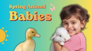 Spring Animal Babies Song Baby Animals For Kids Learn Farm Animals & Sounds