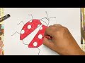How to draw ladybug || how to draw and color ladybug || step by step