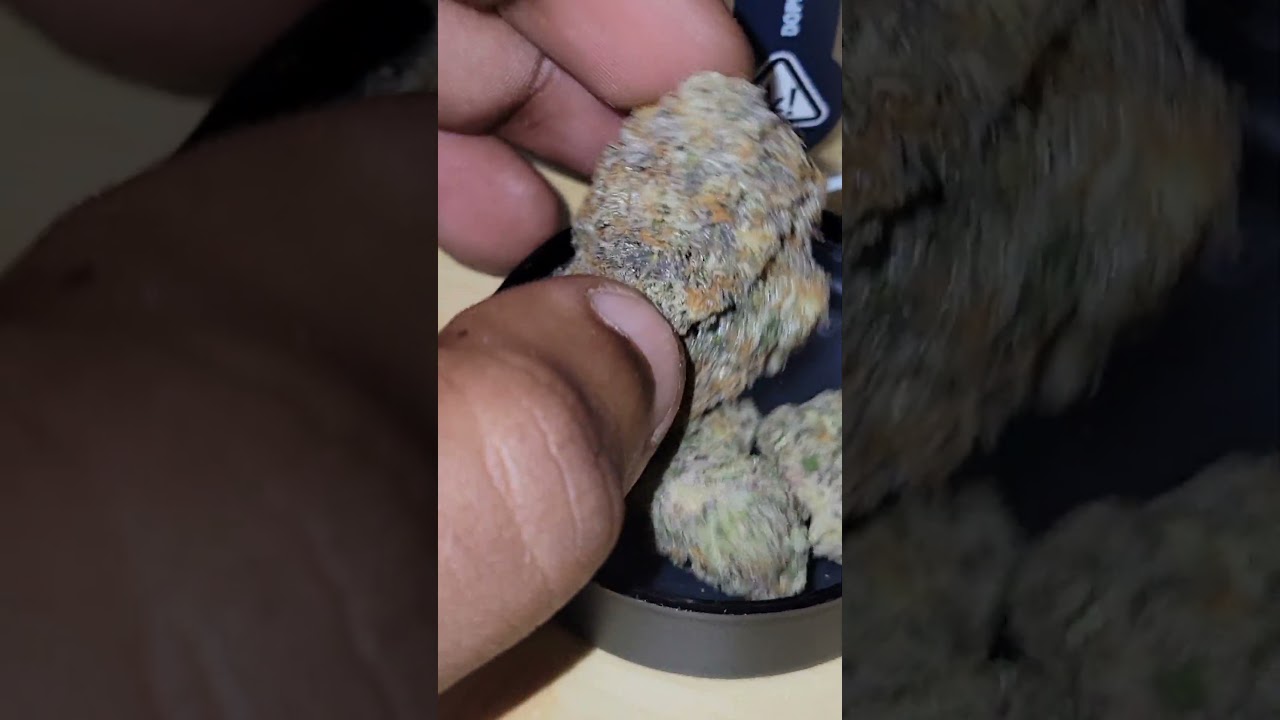 Doppelganger  Purple Fig F2 (Tenderloin Pheno) cultivated by Fig Farms