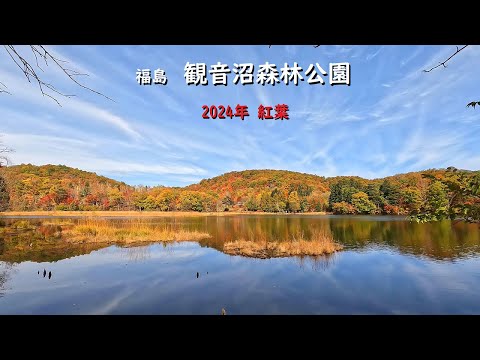 観音沼森林公園2024