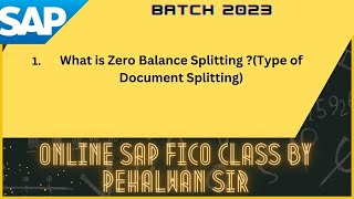 What is Zero Balance Splitting (Type of Document Splitting) || Pehalwan Sir @SAP 