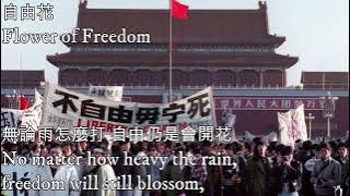 自由花—Flower of Freedom