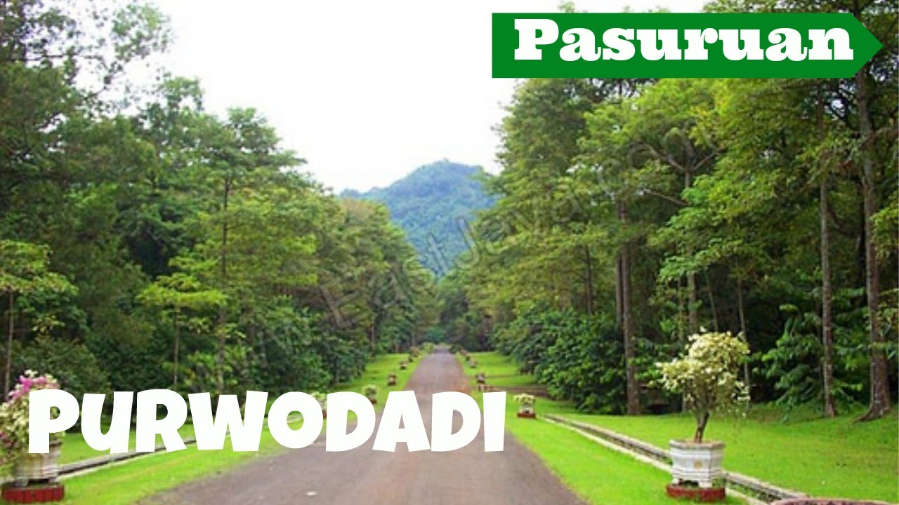 Tanah Dijual Di Purwodadi Pasuruan