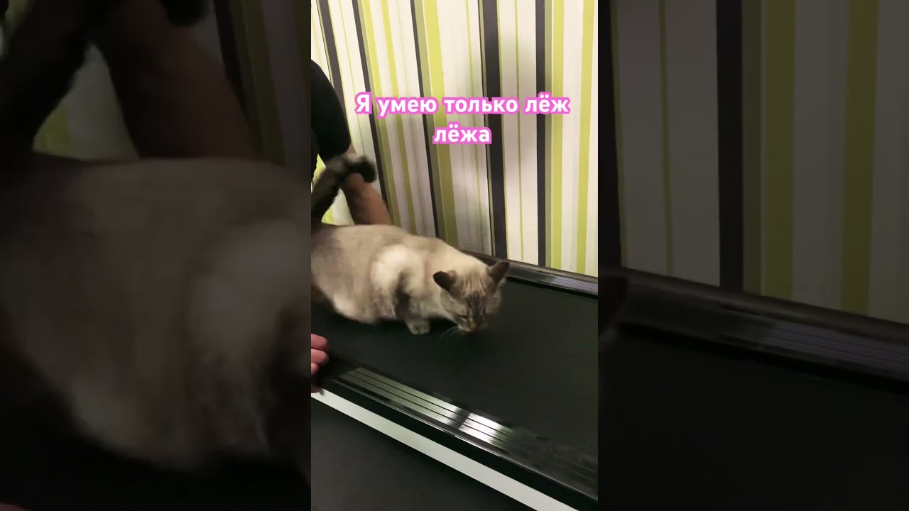 Королева фитнеса в деле 