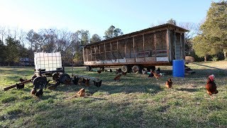 A Great Eggmobile for Free Range Chickens