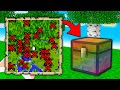 MINECRAFT MA IL MONDO È PIENO DI TESORI *INCREDIBILI*!