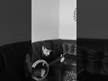 حسين إبراهيم و اغنية ديريك جي بهنا ديكه منا 