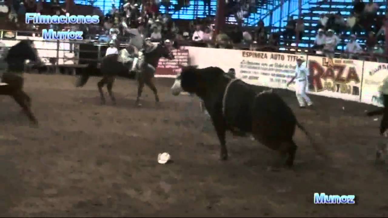 EL PLUMAS VS EL TEQUILERO