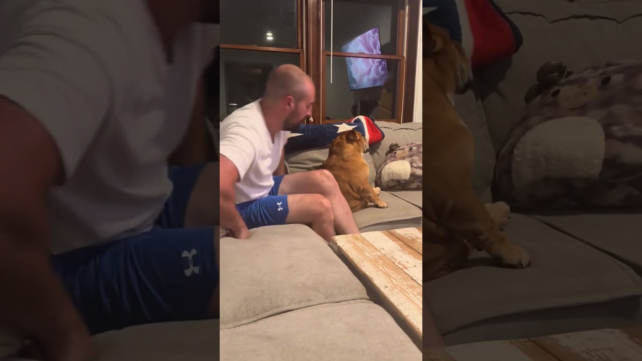 The Real Man of the House
