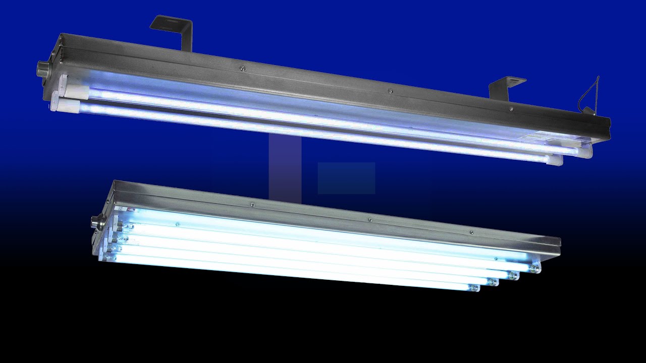 Get Back to Work with UVC Sanitation Lighting