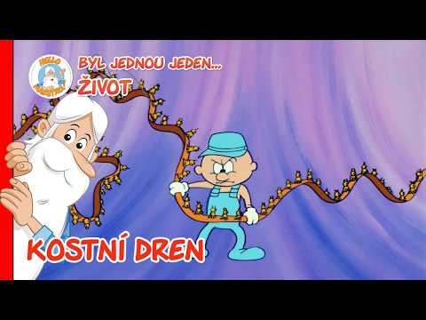 Byl jednou jeden… Život 🧬 Kostní dřeň | 3. řada, 4. díl | CELÁ EPIZODA