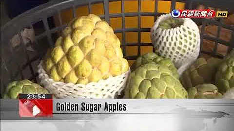 Golden Sugar Apples - DayDayNews